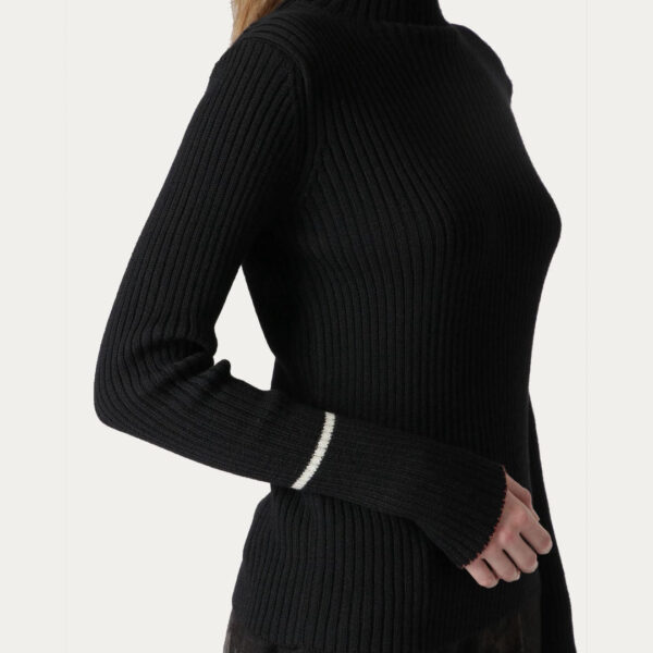 Customize Ladies’ Pure Cashmere Long Sleeves Rib Knitting Jumper for Women’s Knitwear - Image 3