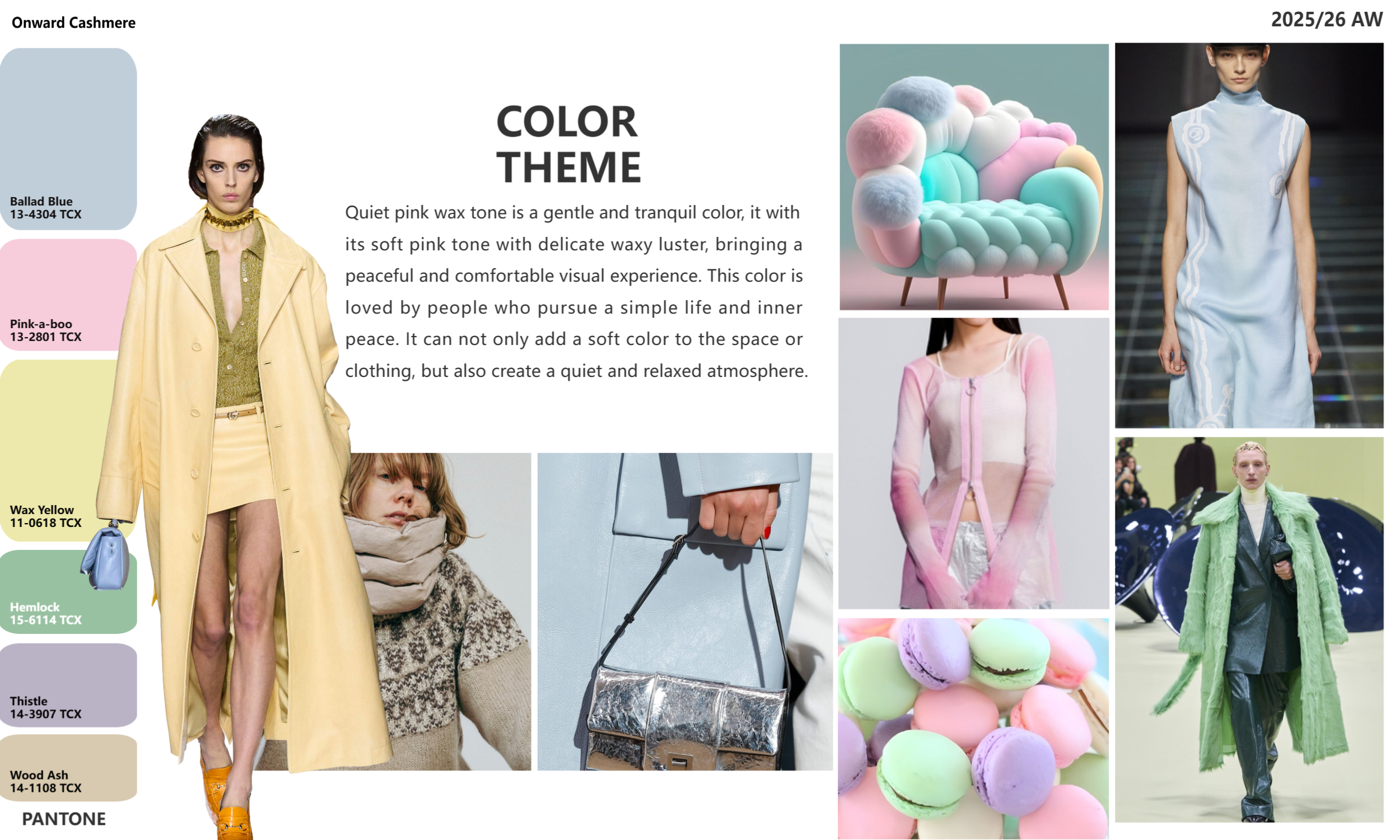 color trend 2526aw (10)