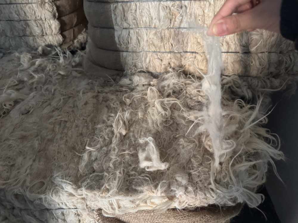 Raw Material Preparation 3 1024x684